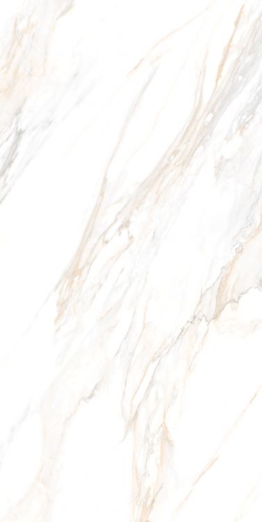Aurum Calacatta Polished 24 x 48